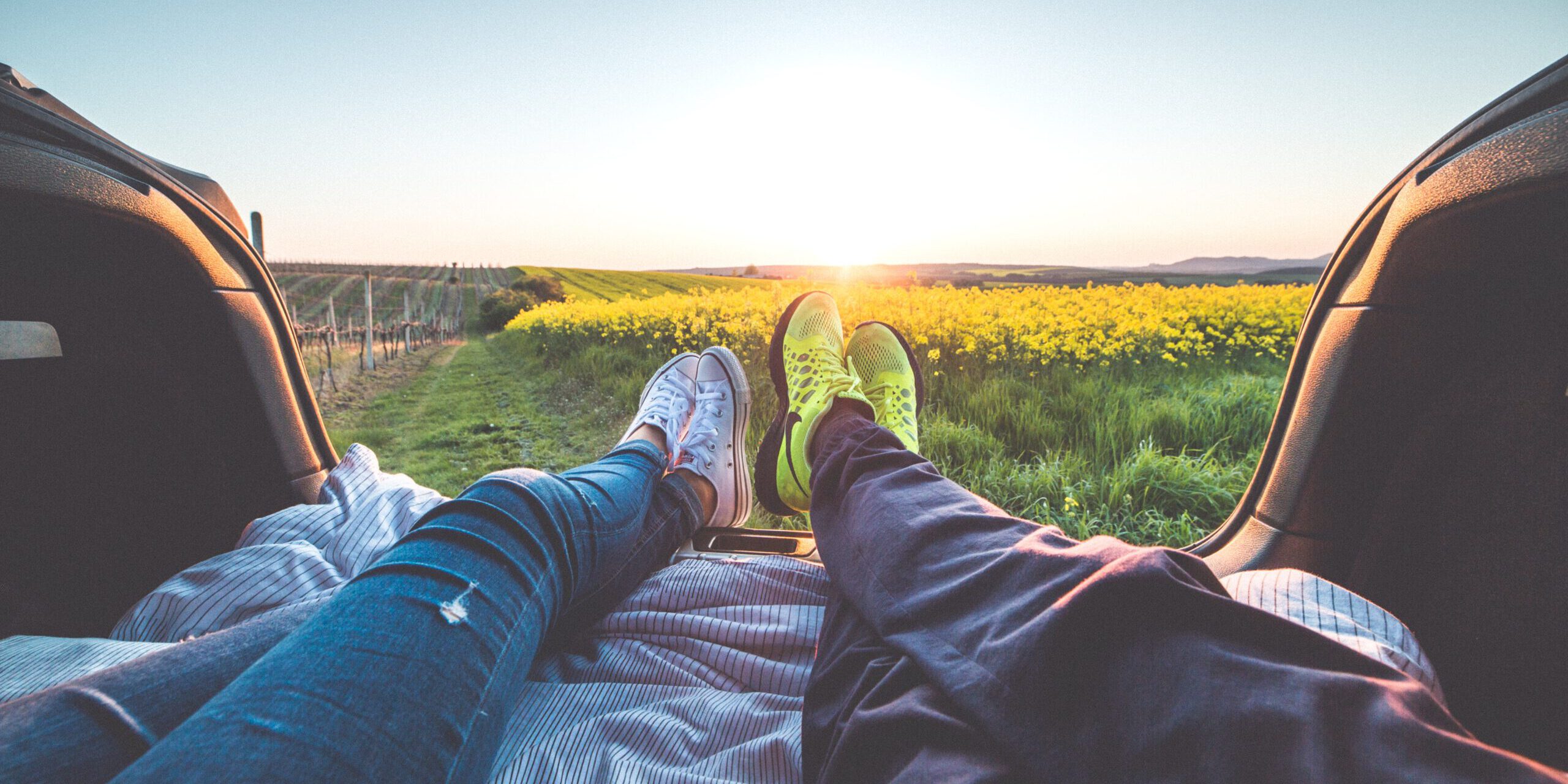 pexels-picjumbocom-196666